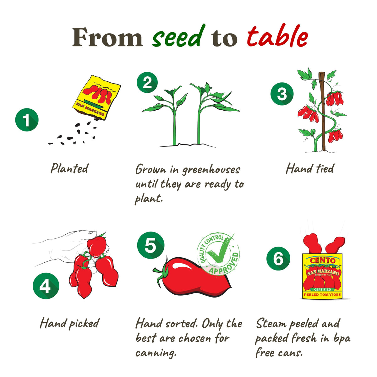 Cento tomatoes for pasta sauce, rich and versatile.