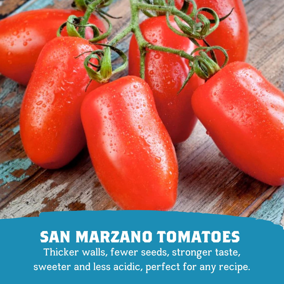 Cento traceability lets you view the field where the tomatoes grew