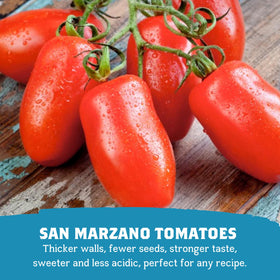 Cento traceability lets you view the field where the tomatoes grew