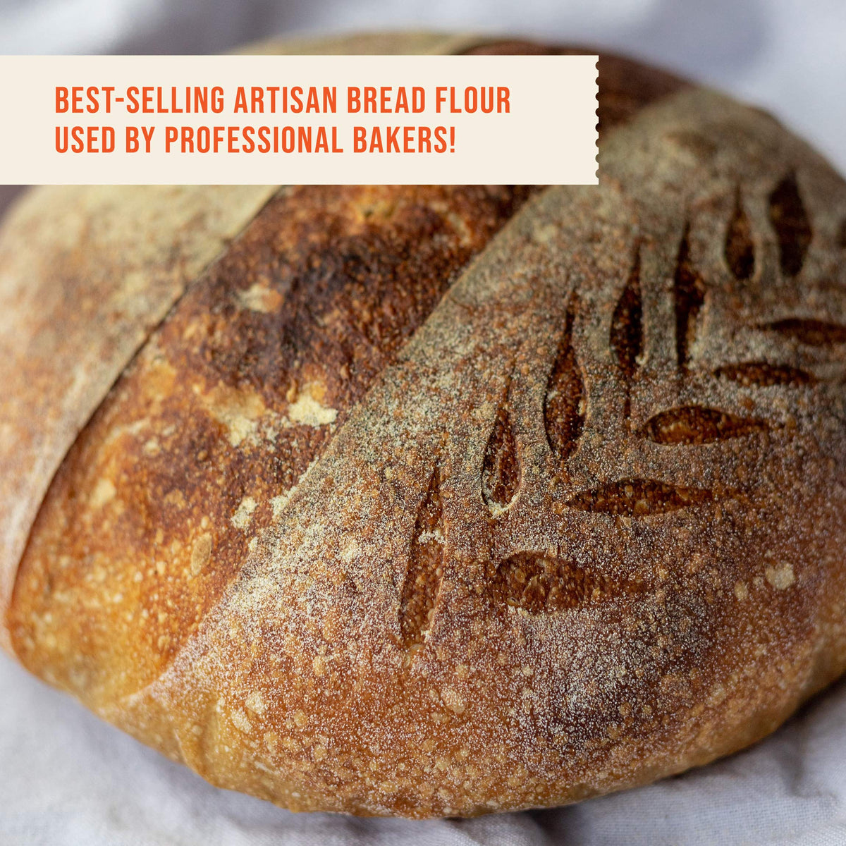 A kitchen baking scene with Central Milling flour inspiring fresh, additive-free loaves.