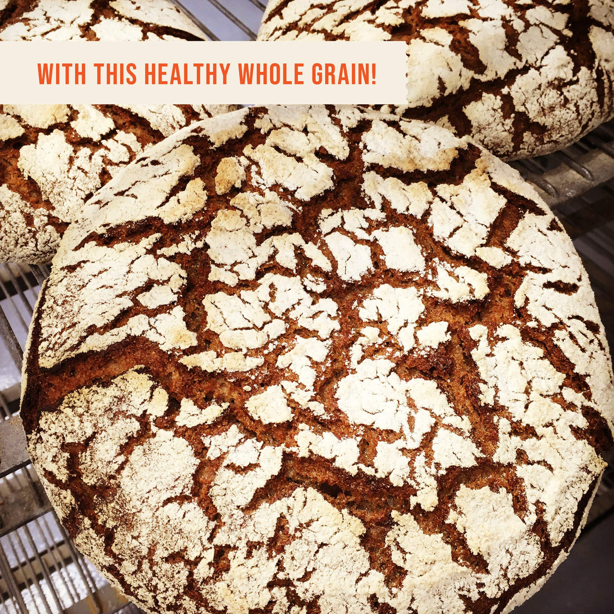 Central Milling rye flour bread-baking setup for Nordic and German breads.