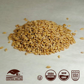 Close-up of CENTRAL MILLING wheat berries, showing rich texture ideal for milling.