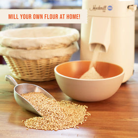 Bulk storage-ready CENTRAL MILLING wheat berries for pantry longevity.