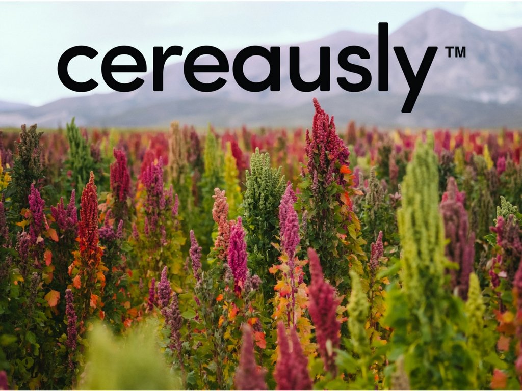 Cereausly quinoa dish ideas for sides or mains.