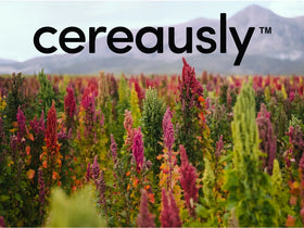 Cereausly quinoa dish ideas for sides or mains.