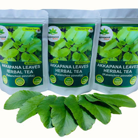Akkapana leaves tea brew-steeping captures warm aroma by Ceylonwood Herbal