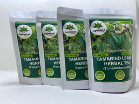 Ceylonwood Herbals organic tamarind leaves for pure herbal tea