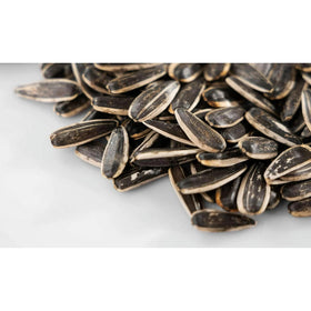 ChaCha spiced sunflower seeds in-hand ready for quick snacking