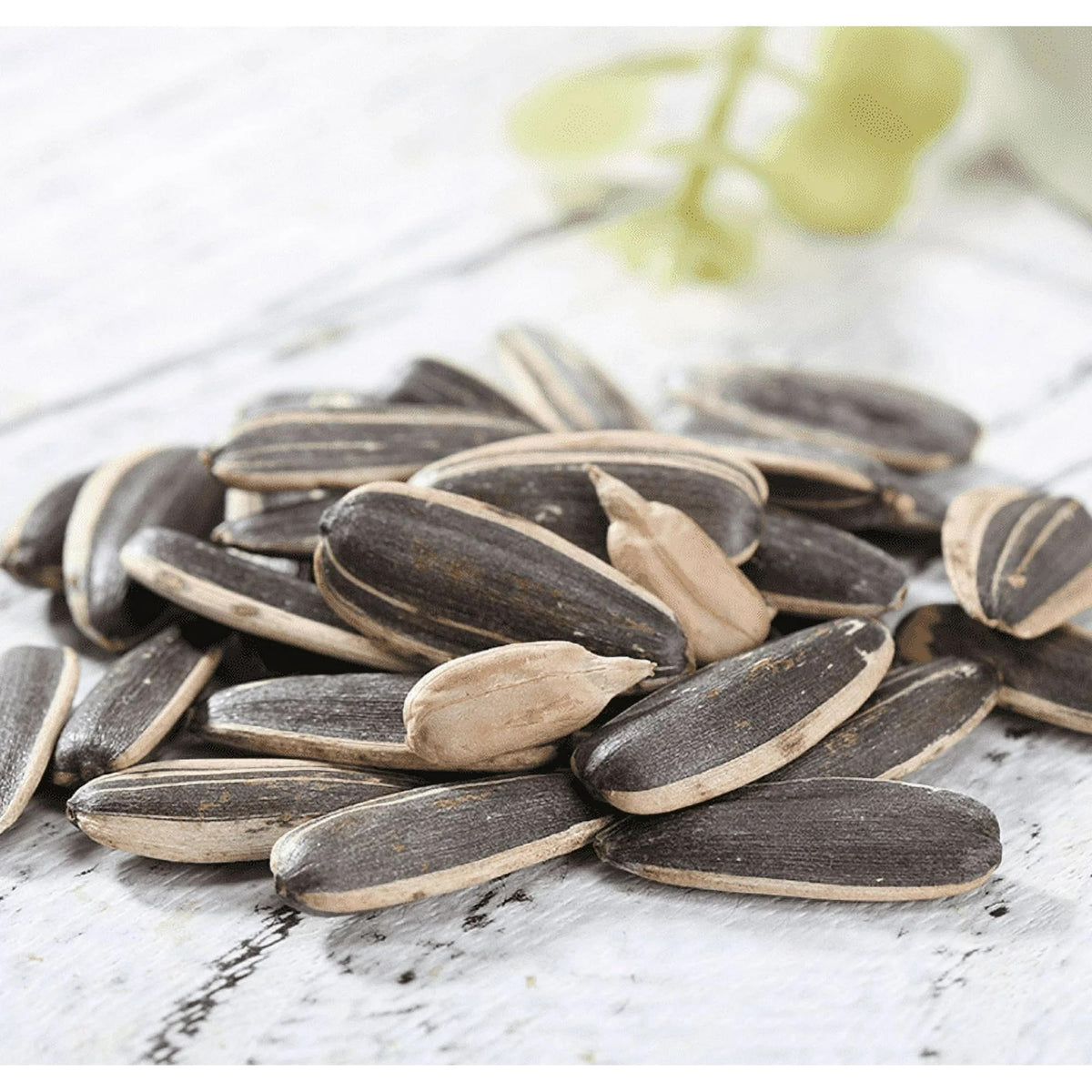ChaCha spiced sunflower seeds packaging front showing 3-pack