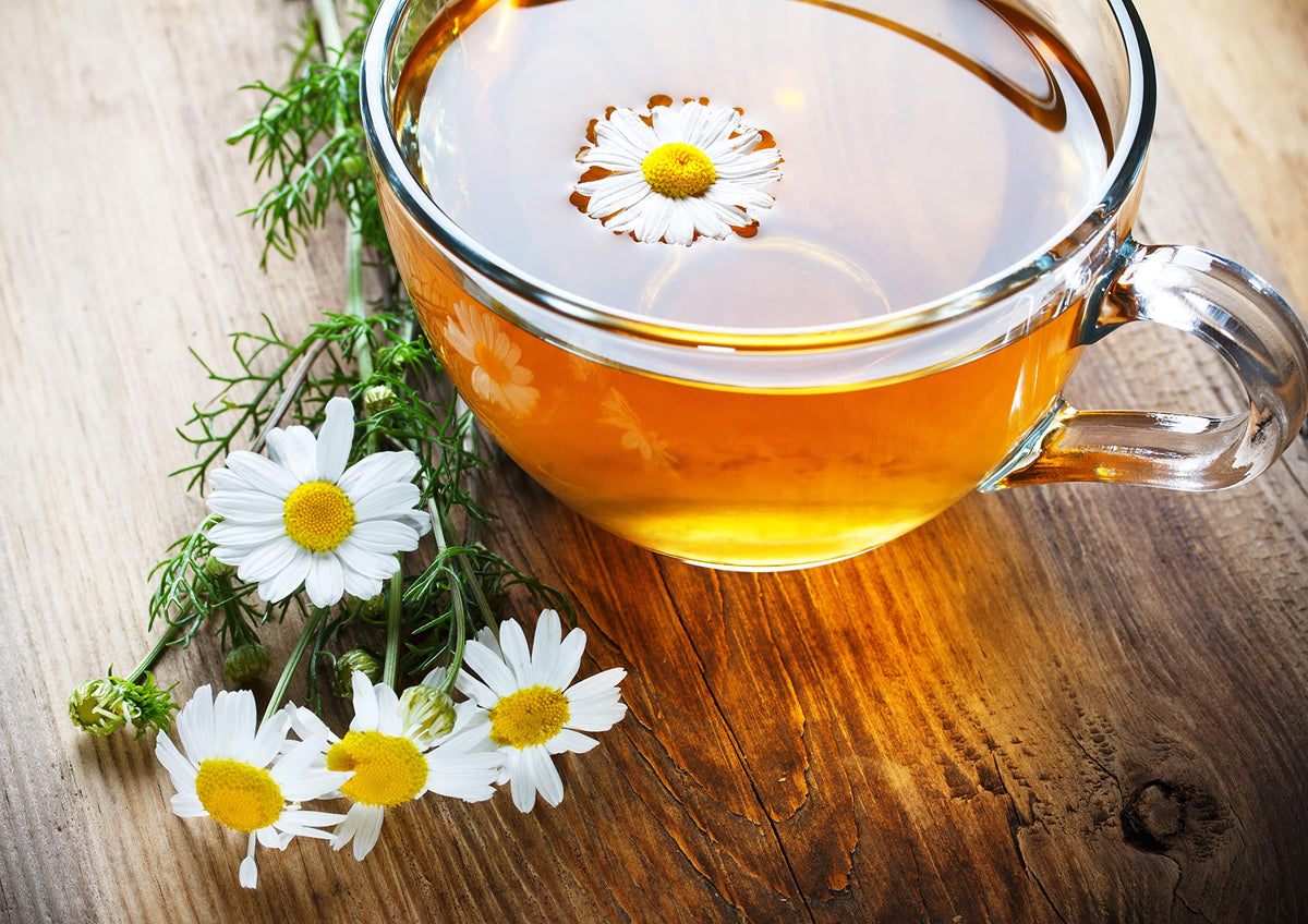 Cha4TEA night-time relaxation scene emphasizes calm evenings with a warm cup.