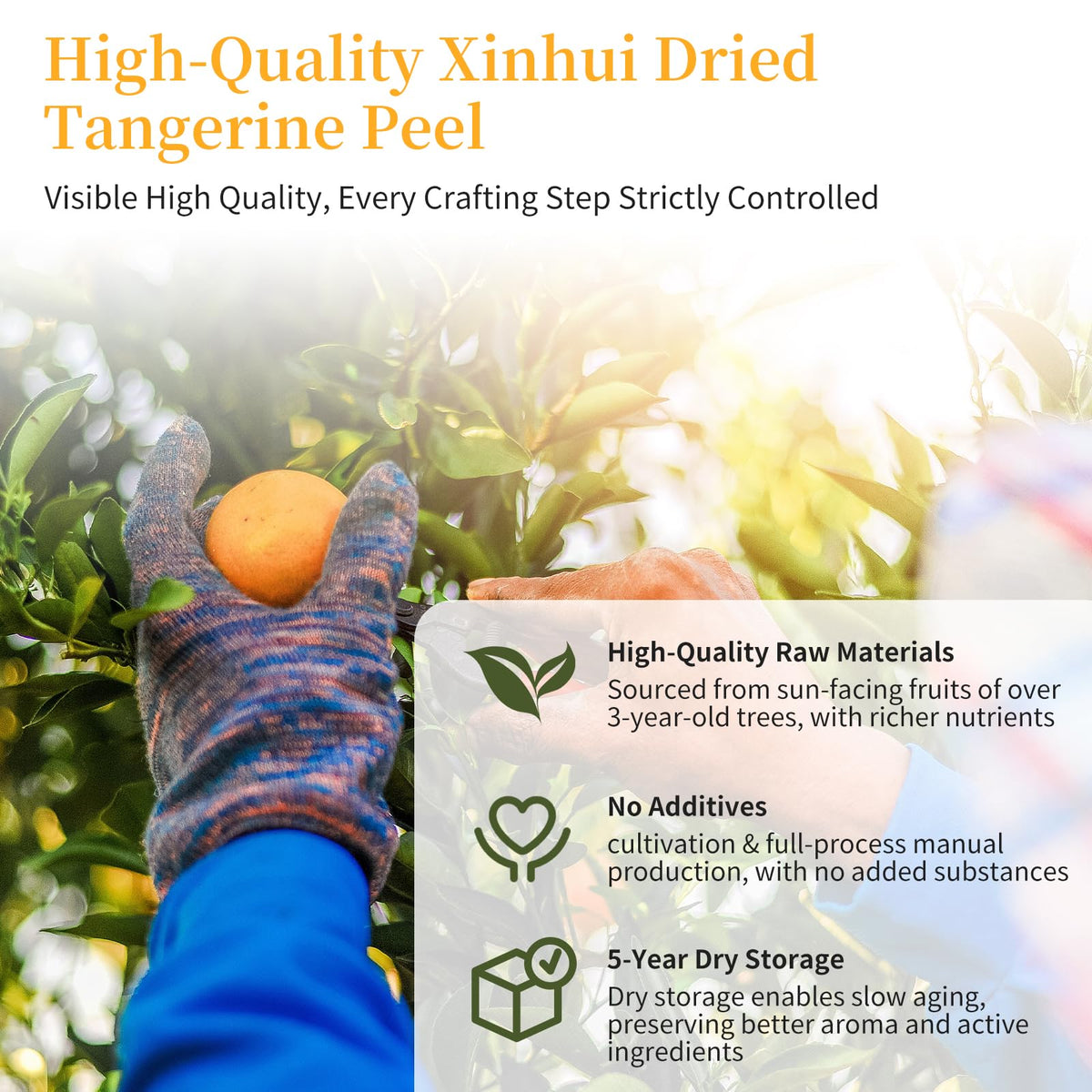 CHADUO Dried Tangerine Peel Tea Chen Pi five-year aging close-up for depth of flavor