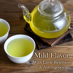 Chaganju Green Tea Sencha Fukamushi hot brew cup highlights smooth flavor.