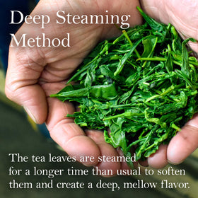 Chaganju Green Tea Sencha Fukamushi kitchen setup suggests daily preparation ritual.