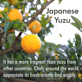Chaganju Yuzu juice brightens a seafood dish with citrus lift