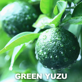 Chaganju Yuzu Kosho paste texture close-up reveals granular seasoning for versatility.
