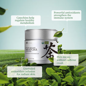 Chaism matcha bowl with bamboo whisk for traditional preparation.