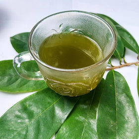 Soursop powder blended into a smoothie with vibrant earthy notes.