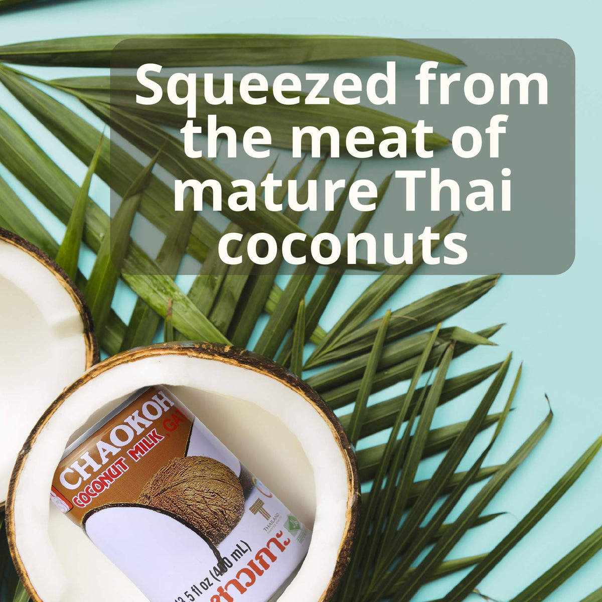 Chaokoh unsweetened coconut milk being poured into a bowl; versatile for beverages
