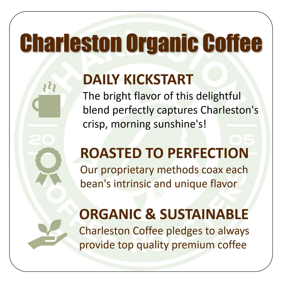 Charleston Coffee Roasters ground coffee closeup reveals rich color and aroma.