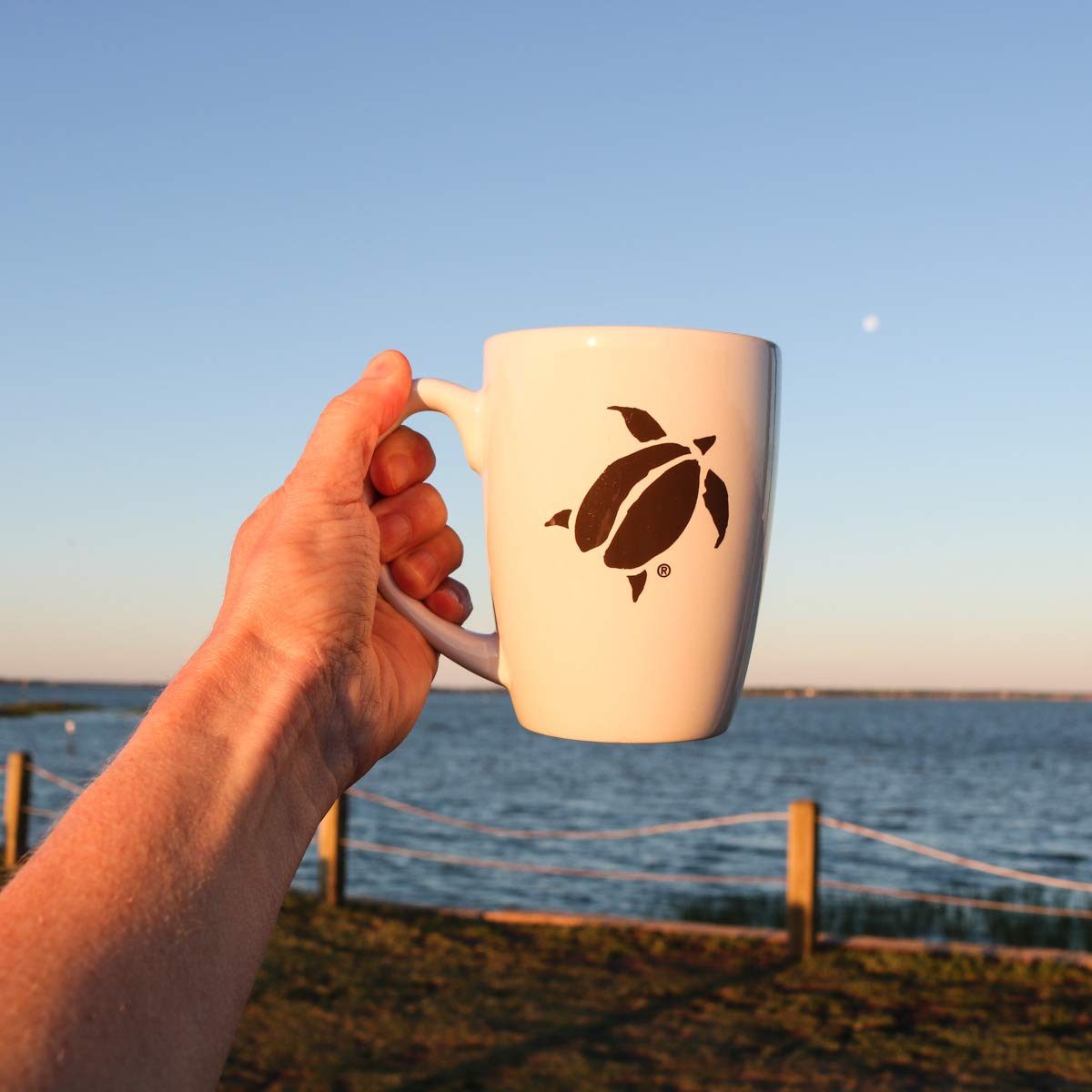 Charleston Coffee Roasters morning cup ready evokes daily ritual and comfort.