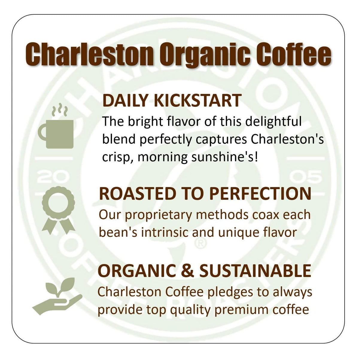 Charleston Coffee Roasters organic ground coffee medium roast brew setup close-up highlighting balanced flavor