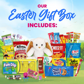 Inside view of Charmed Crates Easter treat box with candies and plush bunny.