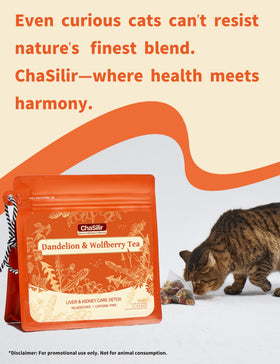 ChaSilir tea bag 15-count pack ready for daily use
