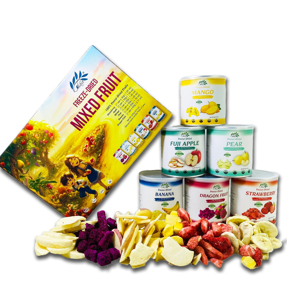 CHAVI Freeze Dried Mixed Fruits can front view for convenient no-added-sugar snacking