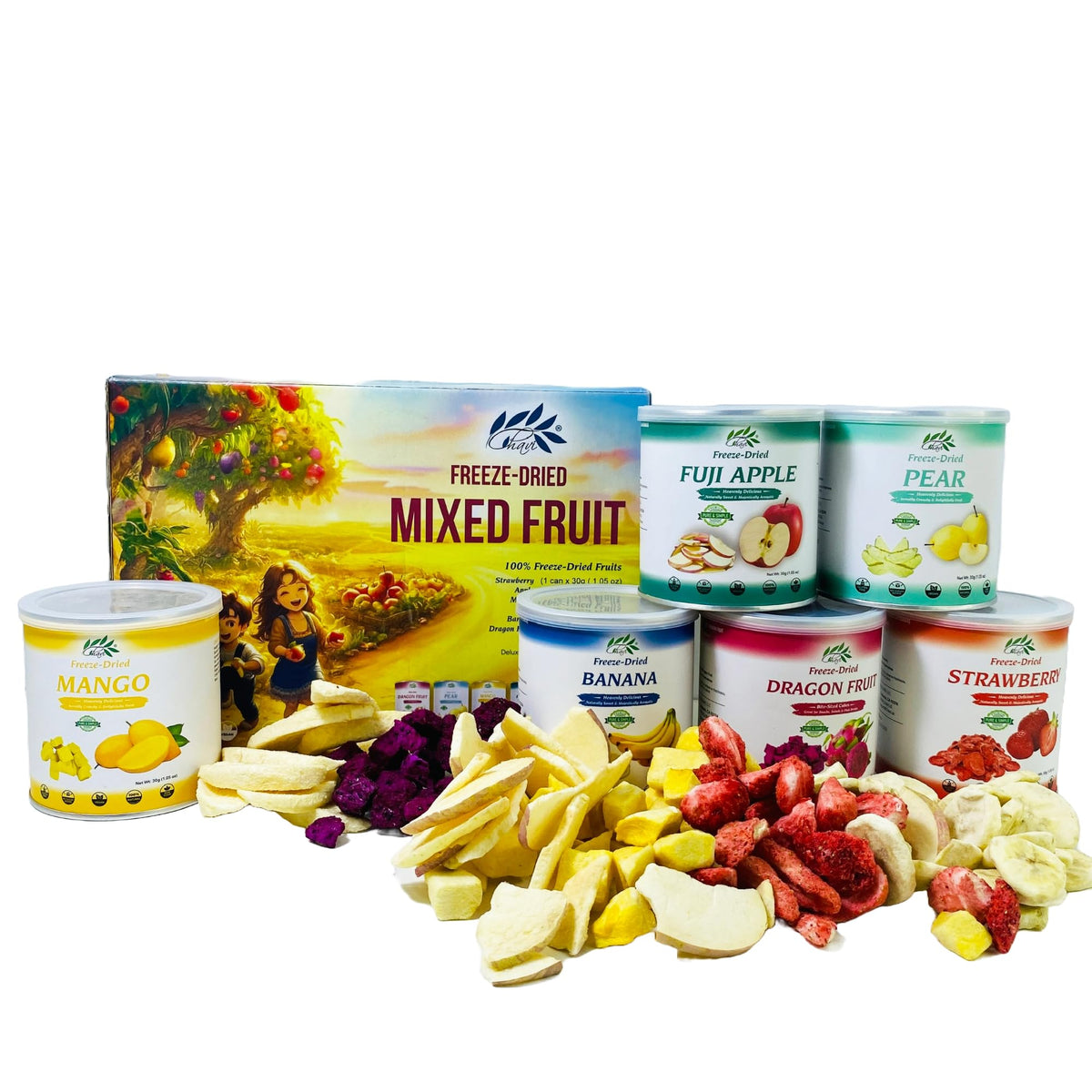 CHAVI Close-up of crisp freeze-dried fruits for a quick snack