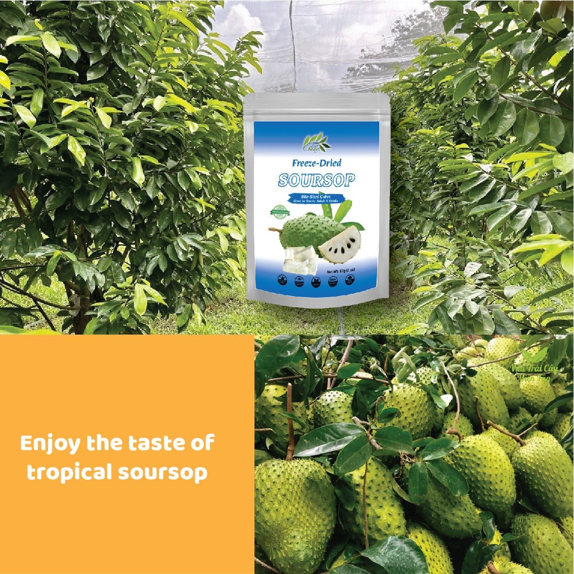 CHAVI Soursop on-the-go snack bag emphasizes convenient, mess-free portability.