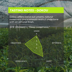 Chazoku Gokou tin label closeup shows first harvest quality and vibrant emerald color.
