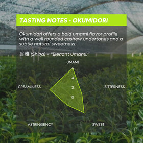 Chazoku Okumidori powder closeup showing vibrant emerald color for premium lattes