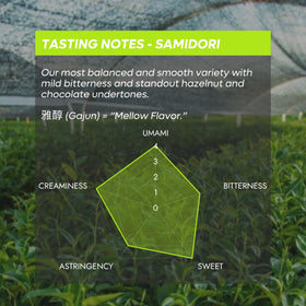Chazoku Samidori powder texture ideal for silky foam