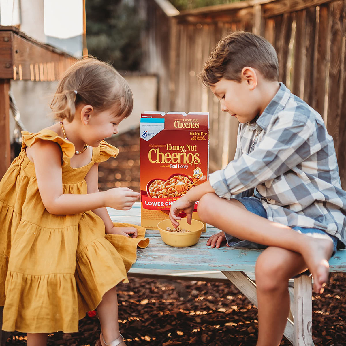 Cheerios Honey Nut cereal snack pack, twelve cups for pantry convenience.
