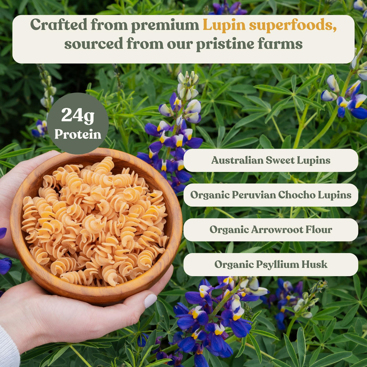 Chef's Kiss Protein Rotini dish ideas with versatile sauces