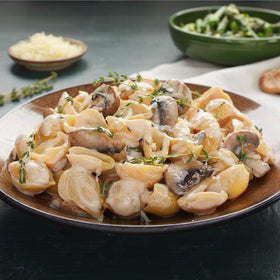 Chickapea Shells in serving bowl illustrating protein boost for pasta night