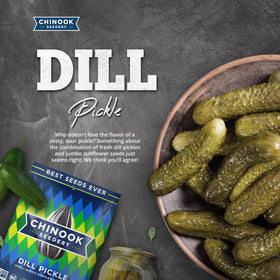 Chinook Seedery flavor assortment with dill pickle, shareable party snack.
