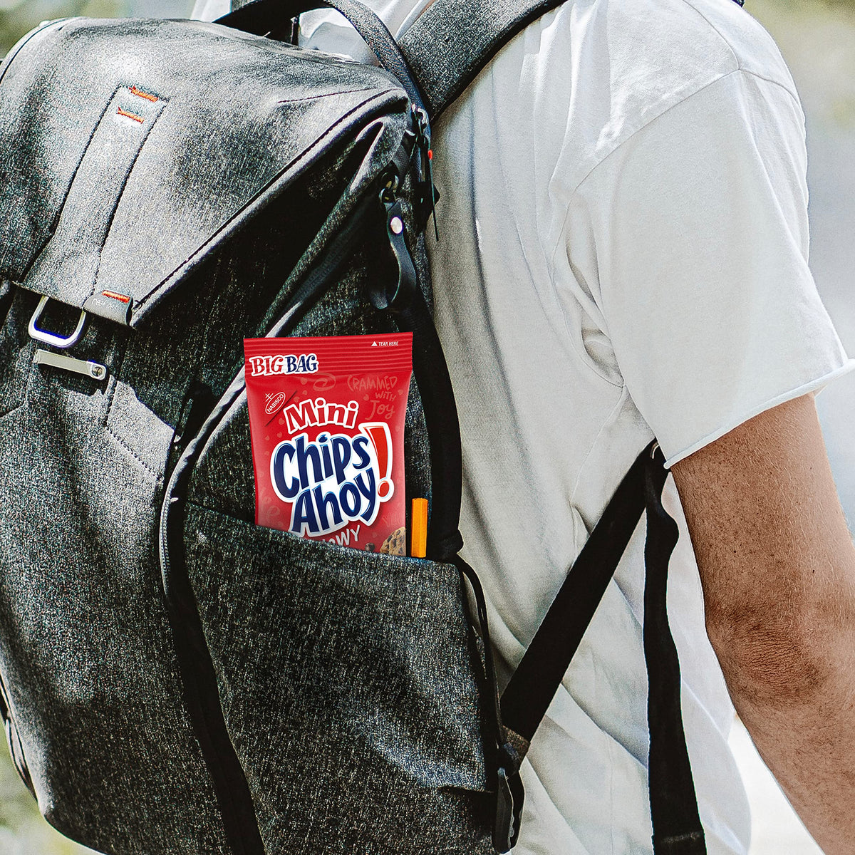 Chips Ahoy! Mini Chewy Cookies on a lunchbox for kids' snacks