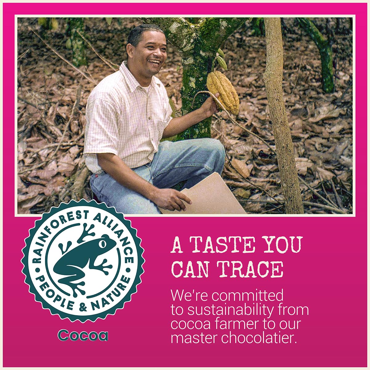 Chocolove raspberries bar half-sliced to reveal fruit and gloss.