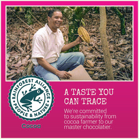 Chocolove raspberries bar half-sliced to reveal fruit and gloss.