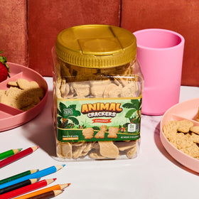 ChocZero Cinnamon crackers show crunchy texture for kids and adults