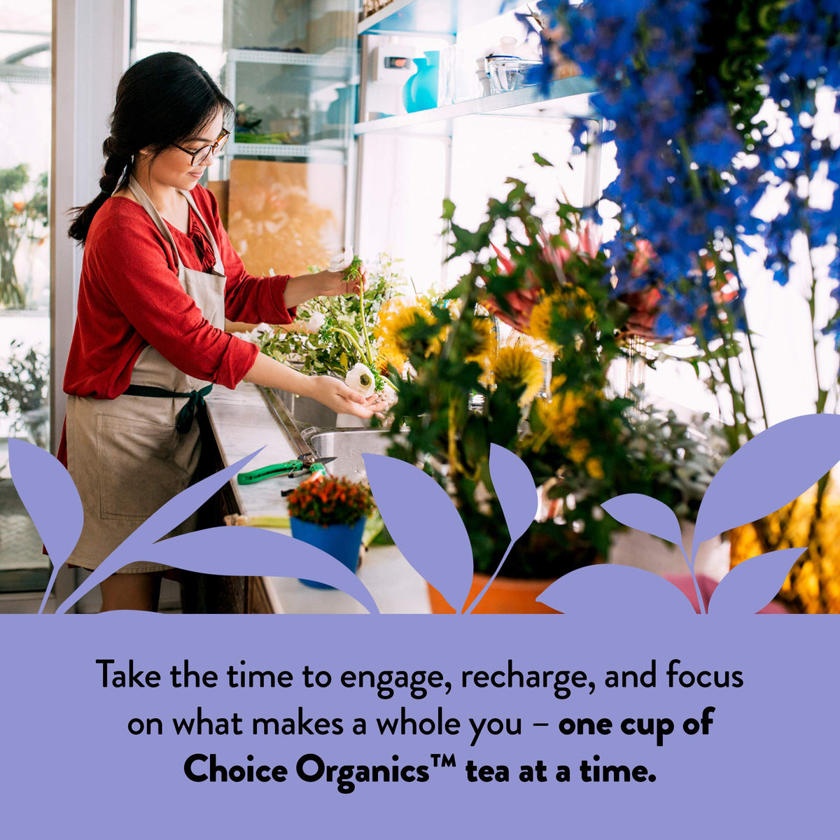Choice Organic Teas Fair Trade certification signals ethical sourcing and impact