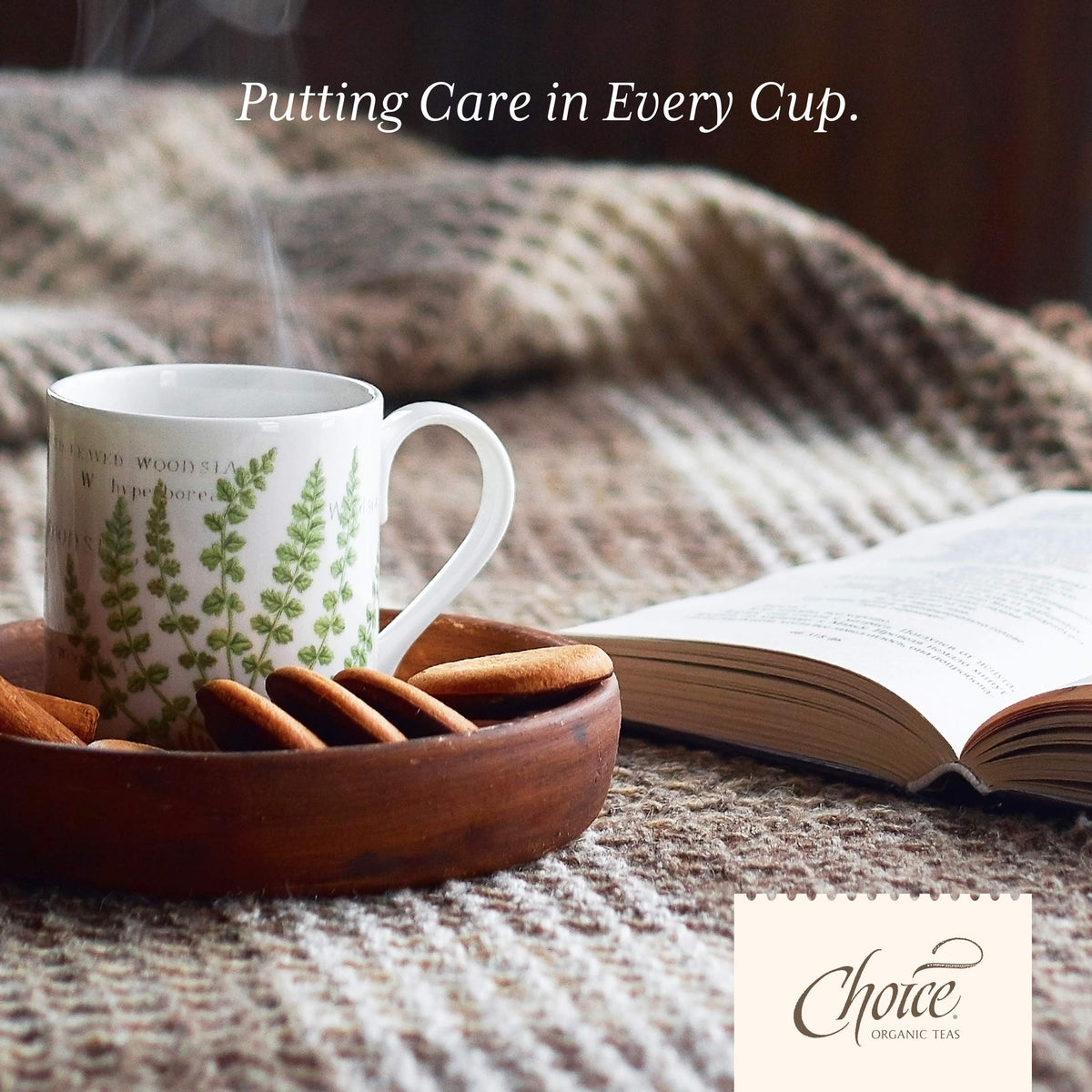 Choice Organic Teas packaging design emphasizes sustainability and freshness.
