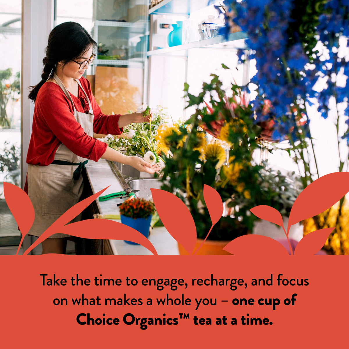 Choice Organics Rooibos Tea compostable packaging supports sustainable living