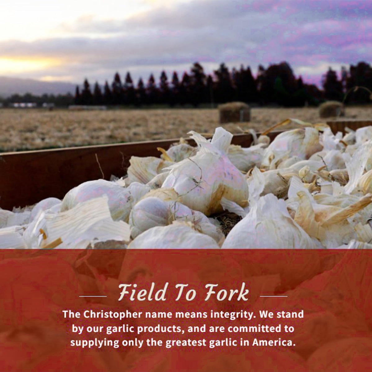 Christopher Ranch chopped garlic in olive oil label gluten-free vegan-friendly pantry staple.