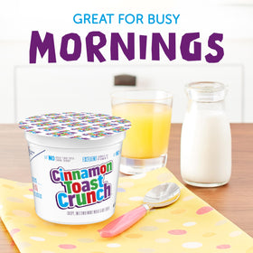 Cinnamon Toast Crunch crispy cinnamon-squares closeup highlights CINNADUST flavor and crunchy texture.