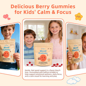 School focus imagery; Civavo gummies support daytime calm for kids.