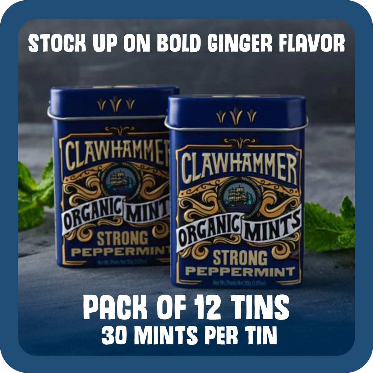 Clawhammer Mints travel tin on-the-go freshness for meetings and errands