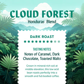 Clean Coffee Co. French press brew image shows versatile brewing.