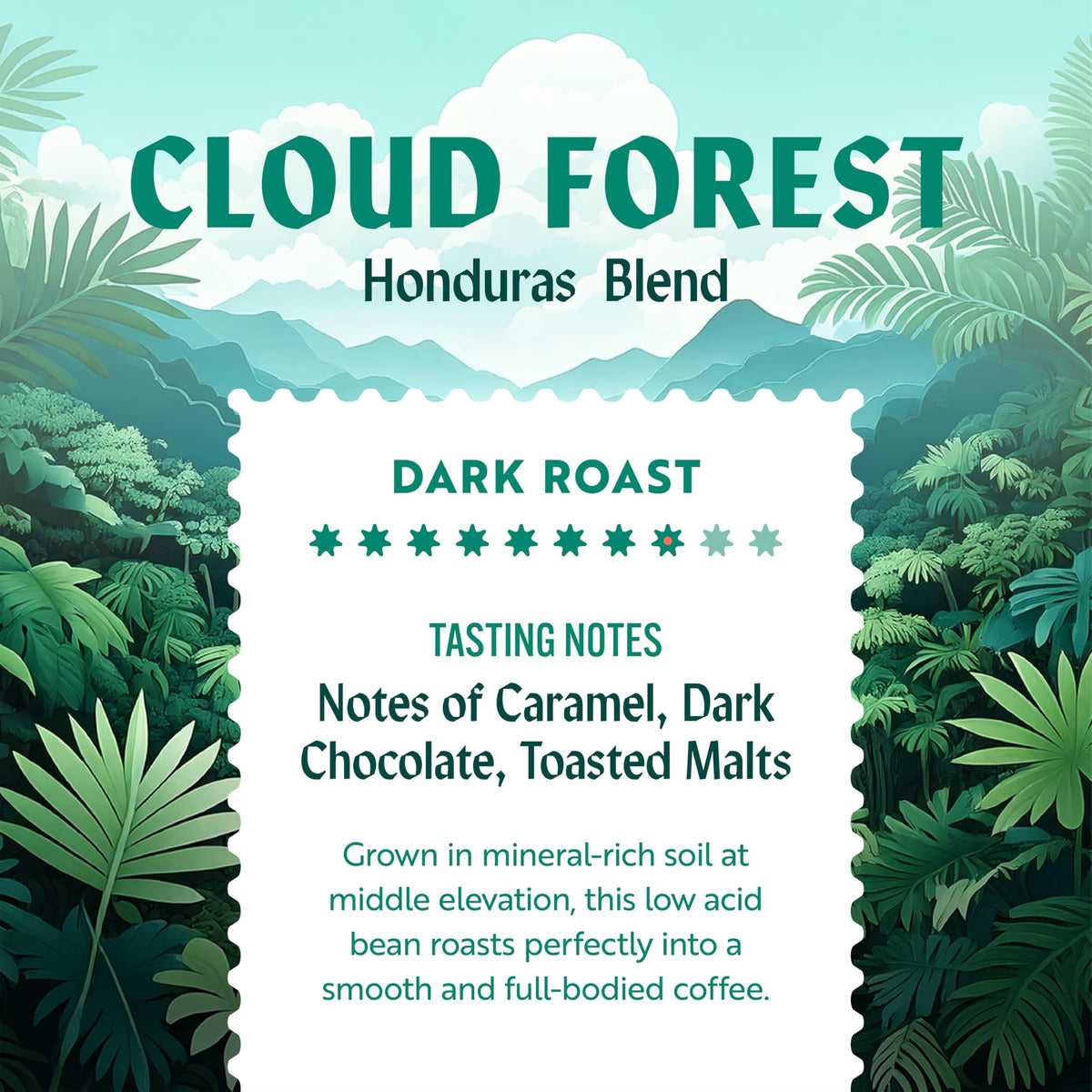 Clean Coffee Co brew-ready versatility for French press, pour-over, and cold brew